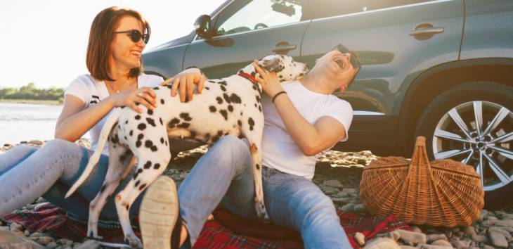 Sorgenfrei in den Urlaub mit dem Hund Hund spielt mit Herrchen beim Piknik