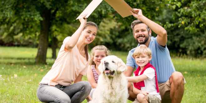 Familienhunde Hunde für Familien