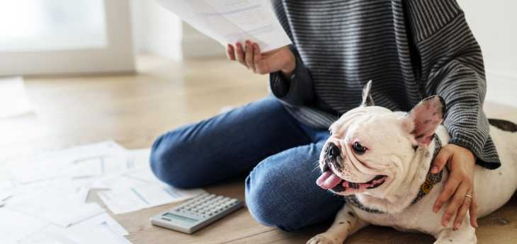 Hund im Büro Hund liegt neben Besitzer auf dem Fußboden
