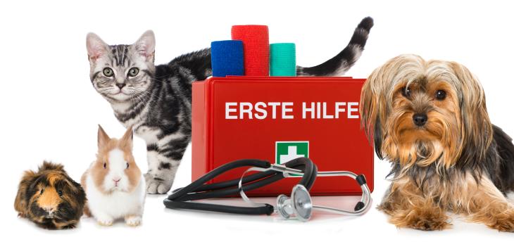 Hausapotheke Erste Hilfe Koffer für Tiere