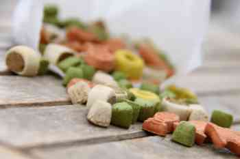 Das Hundefutter Hundefutter