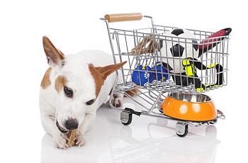 Sinnvolles Hundezubehör Welches Hundezubehör brauch ich für meinen Hund?